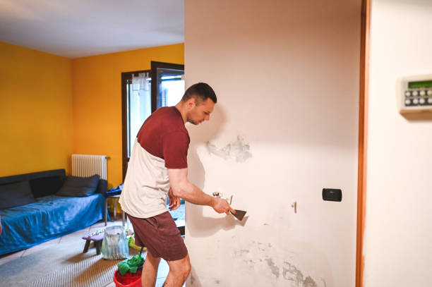 Best Black Mold Removal  in Travelers Rest, SC